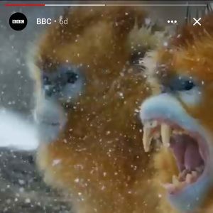 Meet your Posher, Dylan